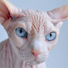 tsivis83 avatar