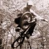 Pinkbike profile picture for @florin