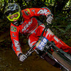vinigabrielli avatar