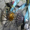 chasefreeride37 avatar