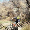 potbeliedmtbiker avatar