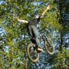 speacializedrider avatar