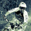 krawiec avatar