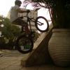Pinkbike profile picture for @eden