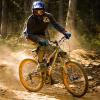 willman256 avatar