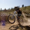 ciddy avatar