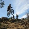 birddownhill avatar