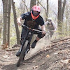 droppindown avatar