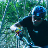 intentbikes avatar