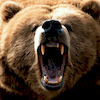 volbi91 avatar