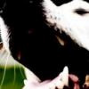 thebyker avatar