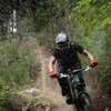 mattwragg avatar