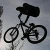 nokies avatar