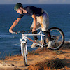 foxinsocks avatar