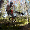 kaijumps avatar