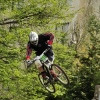tevi avatar
