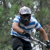 zemigueltavares avatar
