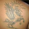 blackpegasus avatar