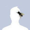 rs4950 avatar