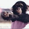 connornordby avatar