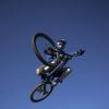 ironizedalltheway avatar