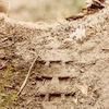 Pinkbike profile picture for @fully
