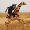 mavster avatar