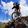 robertbbr avatar