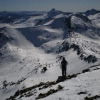 bcgc avatar