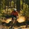 stabdee661 avatar