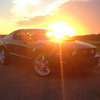 s-alex avatar