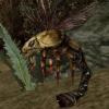krwiopijca avatar