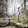 Pinkbike profile picture for @california