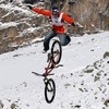 baupazzo avatar