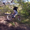 pfitzner17 avatar