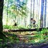 downhilljoker avatar
