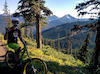 Pinkbike profile picture for @tycoon