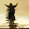 bronowskistills avatar
