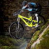 cameridecz avatar