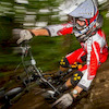 dhdan13 avatar