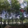andybrown avatar