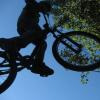 Pinkbike profile picture for @loran