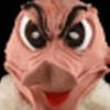 kozak14 avatar