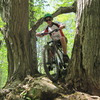 brandolikes2bike avatar