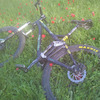 saruti avatar