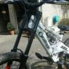 naughtylilbiker avatar