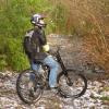 northshore-ripper avatar