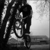 Pinkbike profile picture for @align