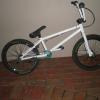 night-rider avatar