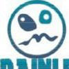 braunrules avatar